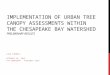 IMPLEMENTATION OF URBAN TREE CANOPY ASSESSMENTS WITHIN THE CHESAPEAKE BAY WATERSHED PRELIMINARY RESULTS LELE KIMBALL OCTOBER 18, 2013 UTC WORKSHOP – VIRGINIA