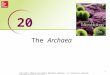 The Archaea 1 20 Copyright © McGraw-Hill Global Education Holdings, LLC. Permission required for reproduction or display