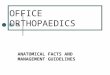 OFFICE ORTHOPAEDICS ANATOMICAL FACTS AND MANAGEMENT GUIDELINES