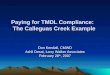 Paying for TMDL Compliance: The Calleguas Creek Example Don Kendall, CMWD Ashli Desai, Larry Walker Associates February 28 th, 2007