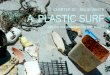 CHAPTER 30 SOLID WASTE A PLASTIC SURF Are the oceans teeming with trash?