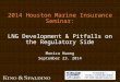 2014 Houston Marine Insurance Seminar: LNG Development & Pitfalls on the Regulatory Side Monica Hwang September 23. 2014