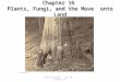 Chapter 16 Plants, Fungi, and the Move onto Land Laura Coronado Bio 10 Chapter 16