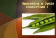 Operating a Dynix Consortium :. Operating a Dynix Consortium : Easy as Shelling Peas