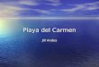 Playa del Carmen Jill Andes. Un sitio ideal para tourismo Un sitio ideal para tourismo Uno de los destinos más actractivos del Caribe mexicano. Uno de
