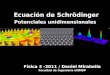 Ecuación de Schrödinger Potenciales unidimensionales Física 3 -2011 / Daniel Mirabella Facultad de Ingeniería UNMDP