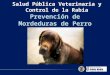 Salud Pública Veterinaria y Control de la Rabia Prevención de Mordeduras de Perro