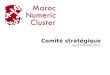Comité stratégique du 07 février 2011 1. Agenda 14h30 : Introduction Mehdi Kettani 14h35 : Les attentes de Maroc Numeric 2013 vis-à-vis de Maroc Numeric
