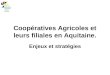 Coopératives Agricoles et leurs filiales en Aquitaine. Enjeux et stratégies
