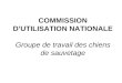 COMMISSION DUTILISATION NATIONALE Groupe de travail des chiens de sauvetage
