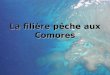 La filière pêche aux Comores. Cadre macro économique de la filière pêche comorienne Les différents projets pêche La Coopération japonaise (JICA) La Coopération