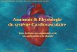 Non mais ! Anatomie & Physiologie du système Cardiovasculaire Comité départemental du Val de Marne – Marc TISON – Moniteur Fédéral 2ème degré 