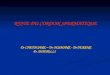KYSTE DU CORDON SPERMATIQUE Dr CHETOUANE – Dr OUSMANE - Dr YEKENE Pr. DJIDJELLI