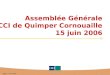 Assemblée Générale CCI de Quimper Cornouaille 15 juin 2006 DEQF – 15 juin 2006