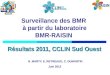 Surveillance des BMR à partir du laboratoire BMR-RAISIN Résultats 2011, CCLIN Sud Ouest N. MARTY, E. REYREAUD, C. DUMARTIN Juin 2012