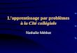 Lapprentissage par problèmes à la Cité collégiale Nathalie Méthot