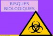 Vendredi 10 janvier 2014 risques biologiques 1 RISQUES BIOLOGIQUES