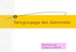 Sérogroupage des Salmonella 1 Réalisation par Christiane JOFFIN