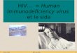 12 mars 2006HIV sida 20061 HIV = Human Immunodeficiency virus et le sida