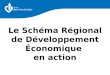 Le Schéma Régional de Développement Économique en action Mutécos - 12 Mai 2011