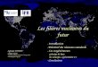 S.David, les filières nucléaires du futur, Atelier Prog. Energie CNRS – Gat « socioé économie », 20 Janvier 2005, Nogent sur Marne 1 Les filières nucléaires