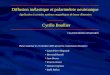 Diffusion inélastique et polarimétrie neutronique Cyrille Boullier Application à certains systèmes magnétiques de basse dimension CEA/DSM/DRFMC/SPSMS/MDN