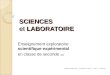 SCIENCES et LABORATOIRE Enseignement exploratoire scientifique expérimental en classe de seconde 2010 Delphine BOUCHON – Académie de Nancy Metz - mai 2010