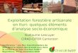 Ur B&SEF Exploitation forestière artisanale en Ituri: quelques éléments danalyse socio-économique Guillaume Lescuyer CIRAD-CIFOR Cameroon Conférence Les