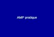 AMP pratique. PLAN Consultation –Interrogatoire –Clinique –Examens complémentaires Techniques et parcours couples –Insémination –FIV et FIV/ICSI Centre