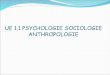 UE 1.1 PSYCHOLOGIE SOCIOLOGIE ANTHROPOLOGIE. Plan Psychologie -état psychique -syndrome post-chute -diminution chronique de lestime de soi liée au vieillissement