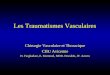 Les Traumatismes Vasculaires Chirurgie Vasculaire et Thoracique CHU Avicenne H. Farghadani, E. Martinod, MDD. Destable, JF. Azorin