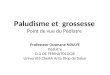 Paludisme et grossesse Point de vue du Pédiatre Professeur Ousmane NDIAYE Pédiatre D.U DE PERINATOLOGIE Université Cheikh Anta Diop de Dakar