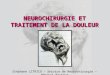 NEUROCHIRURGIE ET TRAITEMENT DE LA DOULEUR Stéphane LITRICO – Service de Neurochirurgie – Hôpital Pasteur