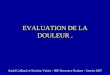 EVALUATION DE LA DOULEUR. Astrid Caillaud et Christine Voisin – IDE Ressource Douleur – Janvier 2007