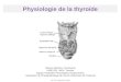 Physiologie de la thyroïde Roques Béatrice, Doctorante UMR1331, INRA, Toxalim Equipe Pesticides Perturbateurs Endocriniens Laboratoire de Physiopathologie
