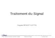 Dpt. Télécommunications, Services & Usages Traitement du Signal H. Benoit-Cattin 1 Traitement du Signal Hugues BENOIT-CATTIN