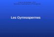 Les Gymnospermes Licence de Biologie, LSV3. Botanique Systématique et Phylogénèse
