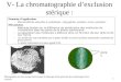 1 V- La chromatographie dexclusion stérique : Domaine dapplication –Macromolécules naturelles et synthétiques : polypeptides, protéines, sucres, polymères