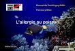 Manuel de Condinguy Edith Hameury Elise Lallergie au poisson Maîtrise IUP SIAL Année 2004-2005