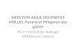 INFECTION AIGUE DES PARTIES MOLLES: Panaris et Phlegmon des gaines IFSI 1 ère année Rober Ballanger MEZIANI Lyes ( Interne)
