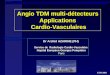 ECR 2002 Angio TDM multi-détecteurs Applications Cardio-Vasculaires Dr Arshid AZARINE (PH) Service de Radiologie Cardio-Vasculaire Hopital Européen Georges