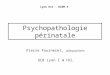Psychopathologie périnatale Pierre Fourneret, pédopsychiatre UCB Lyon I & HCL Lyon Est - DCEM 3
