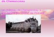 Le château de Chenonceau Le château de Chenonceau a é té habité par Diane de Poitiers puis, Louise de Lorraine