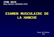 EXAMEN MUSCULAIRE DE LA HANCHE Cours de bilans MK1 IFMK NICE Marie-Martine LANFRANCHI-PETIT