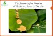 10/31/071 Technologie Verte dExtraction dOr de Nichromet