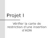 Projet I Vérifier la carte de restriction dune insertion dADN