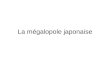 La mégalopole japonaise. 1/ Une exceptionnelle concentration dhommes et dactivités