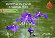 Bienvenue au gîte de Christiane Ryan Les Iris… Entrez…