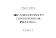 TSO 3201 ORGANISATIONS ET CONDITIONS DE PRATIQUE Cours 1