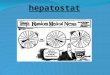 Hepatostat. HEPATOSTAT : EVALUATION DE L'EFFICACITE ET LA TOLERANCE DE LA BITHERAPIE CHEZ LES PATIENTS MAROCAINS TRAITES DE L'HEPATITE C. Dr EL MALKI
